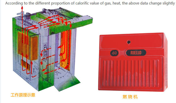 50Hz Food Grade SS304 Industrial Bakery Equipment